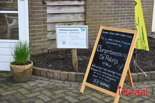 Plattelandswandeling Laren - deel 2 (29-03-2026)