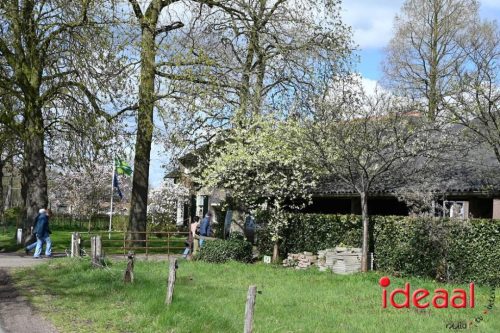 Plattelandswandeling Laren - deel 2 (29-03-2026)