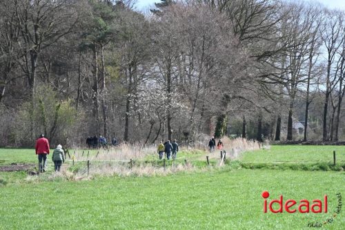 Plattelandswandeling Laren - deel 2 (29-03-2026)