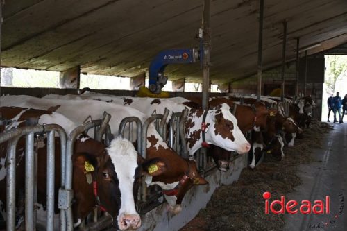 Plattelandswandeling Laren - deel 2 (29-03-2026)