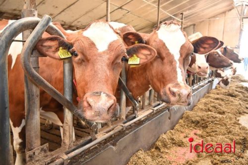 Plattelandswandeling Laren - deel 2 (29-03-2026)