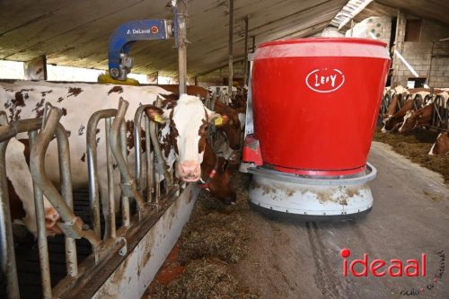 Plattelandswandeling Laren - deel 2 (29-03-2026)