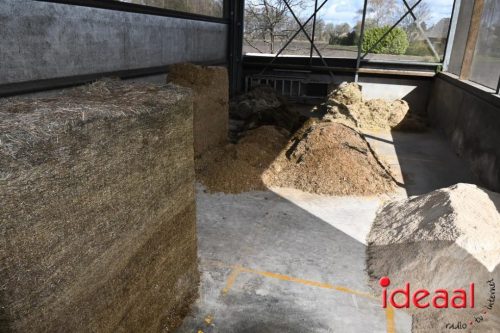 Plattelandswandeling Laren - deel 2 (29-03-2026)