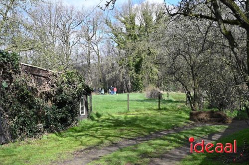 Plattelandswandeling Laren - deel 2 (29-03-2026)