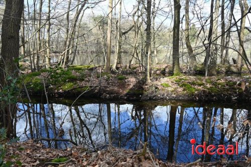 Plattelandswandeling Laren - deel 2 (29-03-2026)