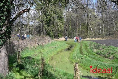 Plattelandswandeling Laren - deel 2 (29-03-2026)