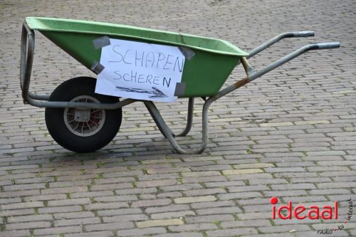 Plattelandswandeling Laren - deel 2 (29-03-2026)