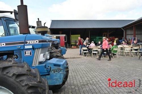 Plattelandswandeling Laren - deel 2 (29-03-2026)