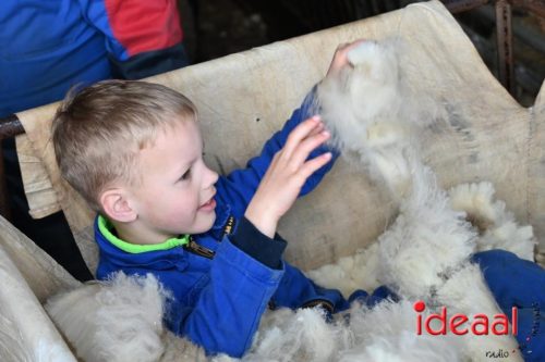 Plattelandswandeling Laren - deel 2 (29-03-2026)