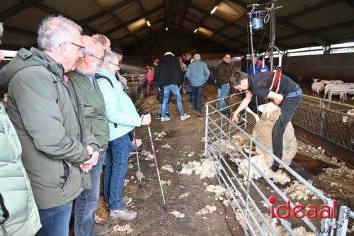 Plattelandswandeling Laren - deel 2 (29-03-2026)