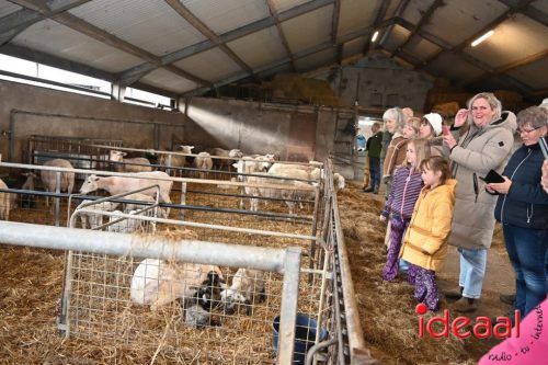 Plattelandswandeling Laren - deel 2 (29-03-2026)