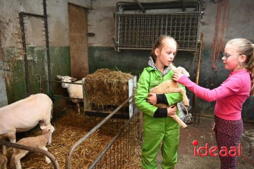 Plattelandswandeling Laren - deel 2 (29-03-2026)