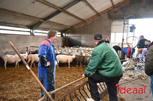 Plattelandswandeling Laren - deel 2 (29-03-2026)