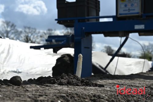 Plattelandswandeling Laren - deel 2 (29-03-2026)