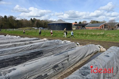 Plattelandswandeling Laren - deel 2 (29-03-2026)