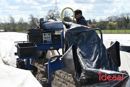 Plattelandswandeling Laren - deel 2 (29-03-2026)