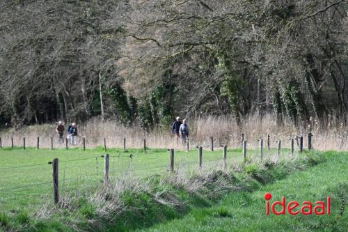 Plattelandswandeling Laren - deel 2 (29-03-2026)