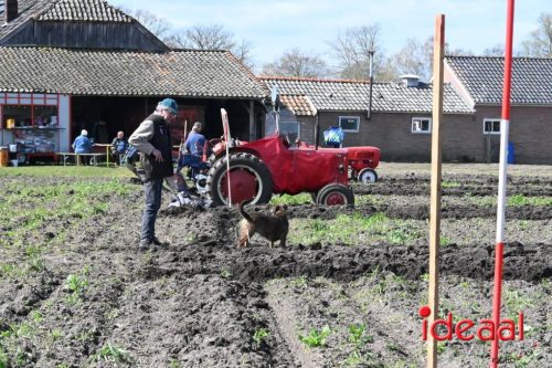Oefenploegen bij aspergebedrijf Ten Broeke (04-04-2026)