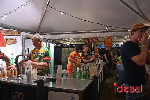 Reeverpop Harfsen avond - deel 1