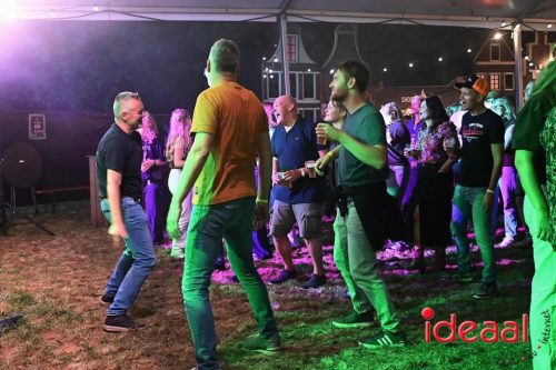 Reeverpop Harfsen avond - deel 1