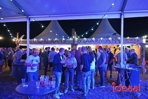 Reeverpop Harfsen avond - deel 2