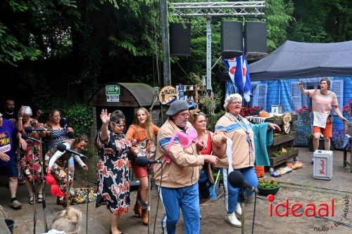 Rock & Roll op klompen - deel 2 (24-05-2025)