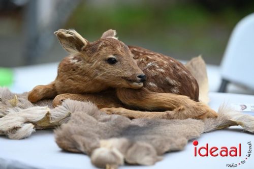 Dag van de Jager - deel 1 (11-10-2025)