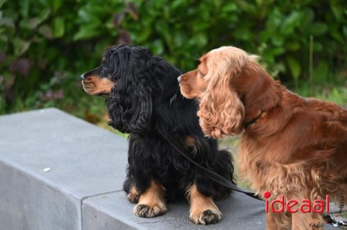 Dag van de Jager - deel 1 (11-10-2025)