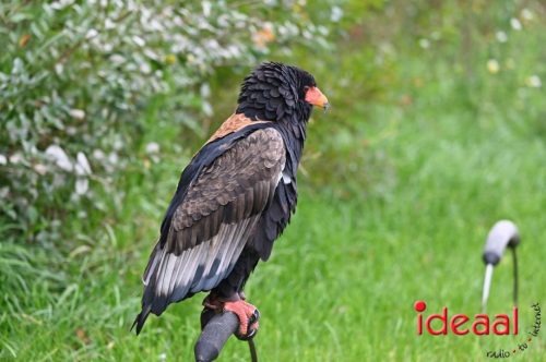 Dag van de Jager - deel 2 (11-10-2025)