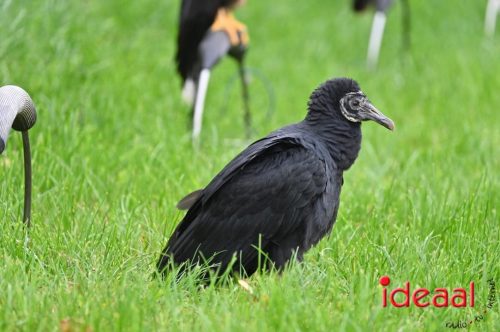 Dag van de Jager - deel 2 (11-10-2025)