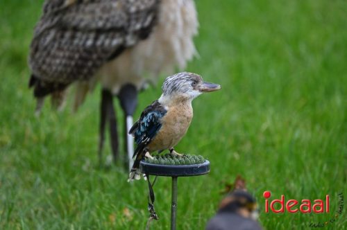 Dag van de Jager - deel 2 (11-10-2025)