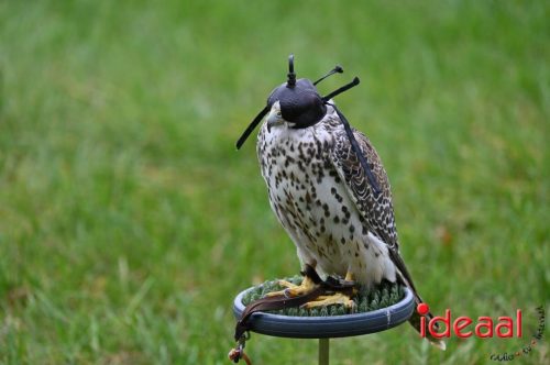 Dag van de Jager - deel 2 (11-10-2025)