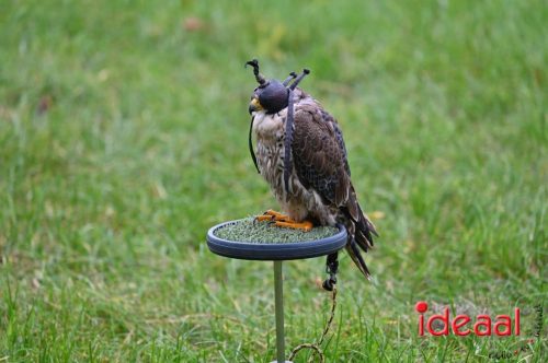 Dag van de Jager - deel 2 (11-10-2025)