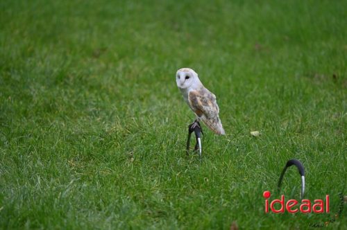 Dag van de Jager - deel 2 (11-10-2025)