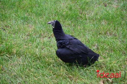 Dag van de Jager - deel 2 (11-10-2025)