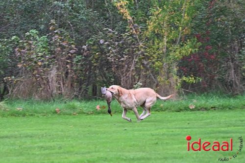 Dag van de Jager - deel 3 (11-10-2025)