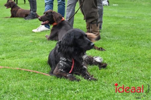 Dag van de Jager - deel 3 (11-10-2025)