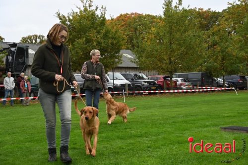 Dag van de Jager - deel 3 (11-10-2025)