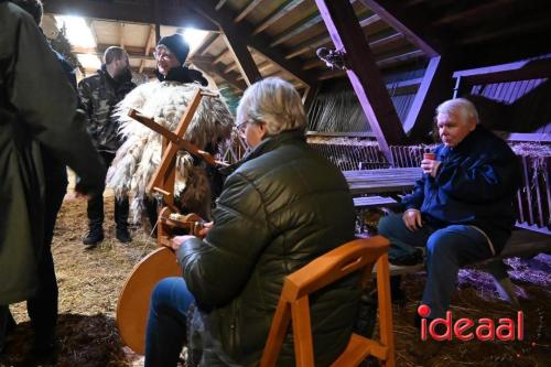 Winterfair Schaapskudde De Belhamel (23-12-2023)