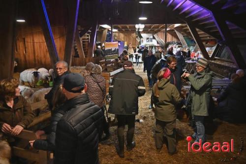 Winterfair Schaapskudde De Belhamel (23-12-2023)