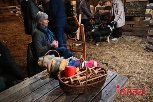 Winterfair Schaapskudde De Belhamel (23-12-2023)