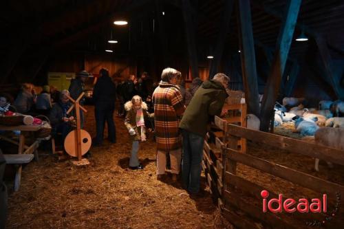 Winterfair Schaapskudde De Belhamel (23-12-2023)