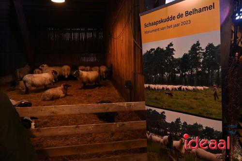 Winterfair Schaapskudde De Belhamel (23-12-2023)