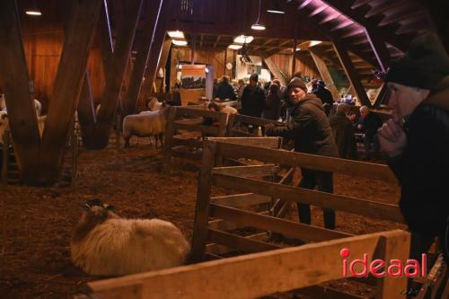 Winterfair Schaapskudde De Belhamel (23-12-2023)