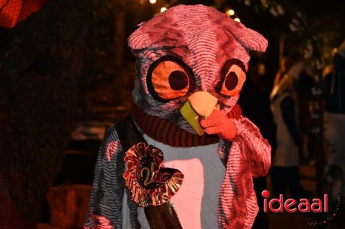 Winterwonderland Lochem - deel 3 (13-12-2025)