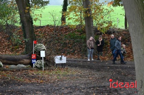 Gelders Kampioenschap Eventing in Barchem (26-10-2025)