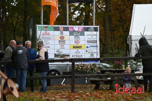 Gelders Kampioenschap Eventing in Barchem (26-10-2025)