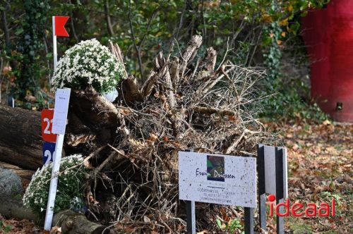 Gelders Kampioenschap Eventing in Barchem (26-10-2025)