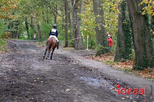 Gelders Kampioenschap Eventing in Barchem (26-10-2025)