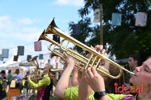 Koffieconcert in Toldijk - deel 1 (29-06-2025)